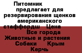 Питомник KURAT GRAD предлагает для резервирования щенков американского стаффордш › Цена ­ 25 000 - Все города Животные и растения » Собаки   . Крым,Керчь